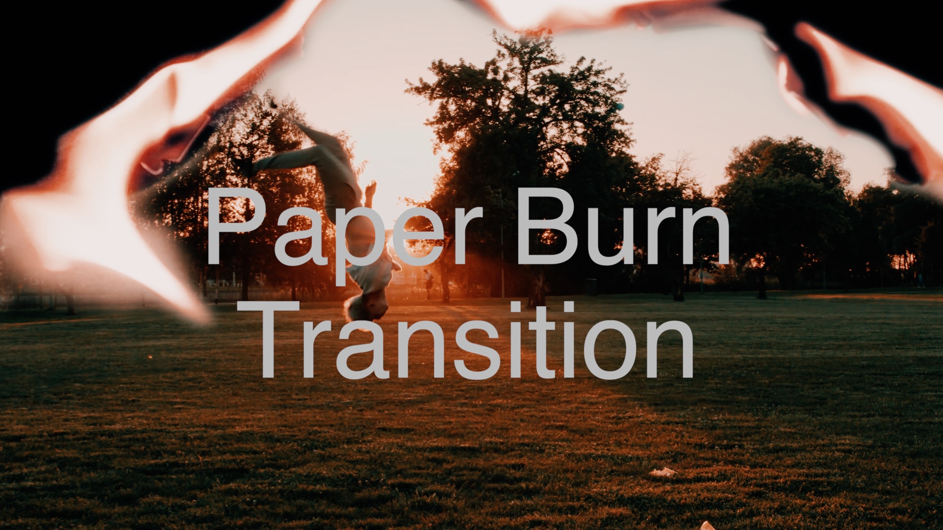 Burns transition